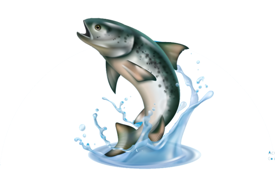 fish-logo